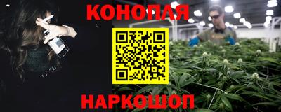 крисы Будённовск