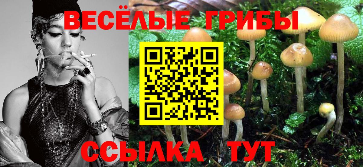 Галлюциногенные грибы Cubensis  Вход с VPN  Морозовск  Галлюциногенные грибы Magic Shrooms 