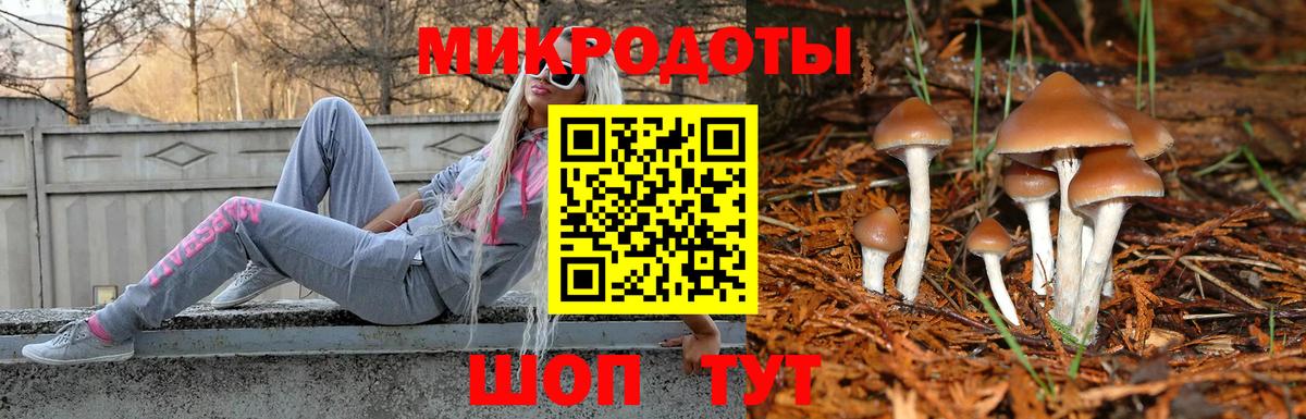Псилоцибиновые грибы Psilocybine cubensis Морозовск